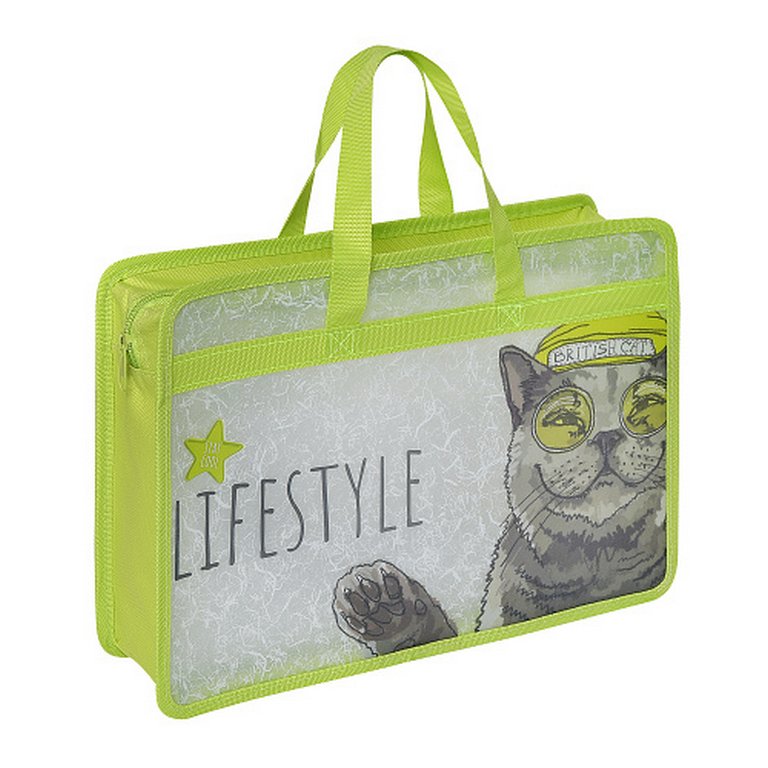 Папка-портфель пластиковый А4 "Easy life. British cat" BrunoVisconti на молнии с окантовкой