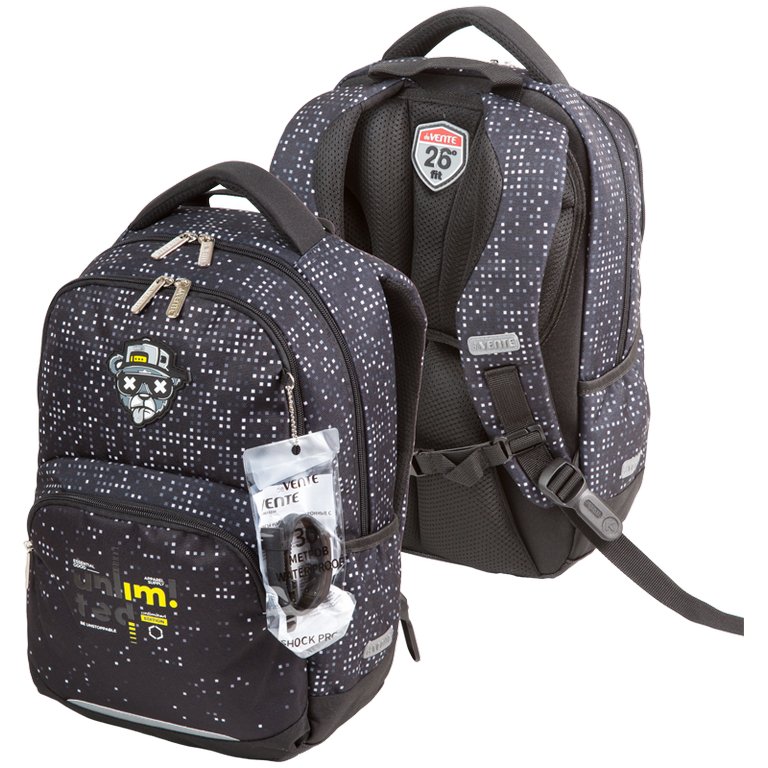 Рюкзак школьный для мальчика deVENTE "Fit26. Bandits" 39x26,5x15,5см, вес 500 гр., серый