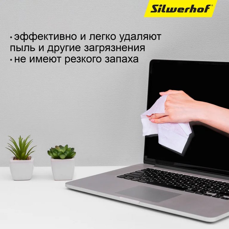 Средство чистящее для оргтехники Silwerhof Daily, 100 шт., туба, (для экранов мониторов)