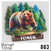 Магнит Томск "Медведь" 10*10 дерево