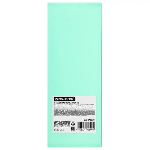 Пенал   BRAUBERG "Pastel" (пластик) 20х7см на кнопке (ассорти)