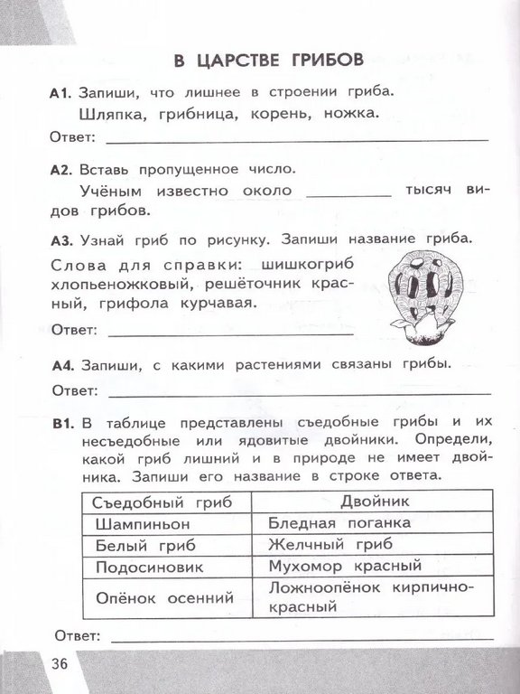 Тетрадь для обучения "КИМ ВПР Окружающий мир. 3 класс"