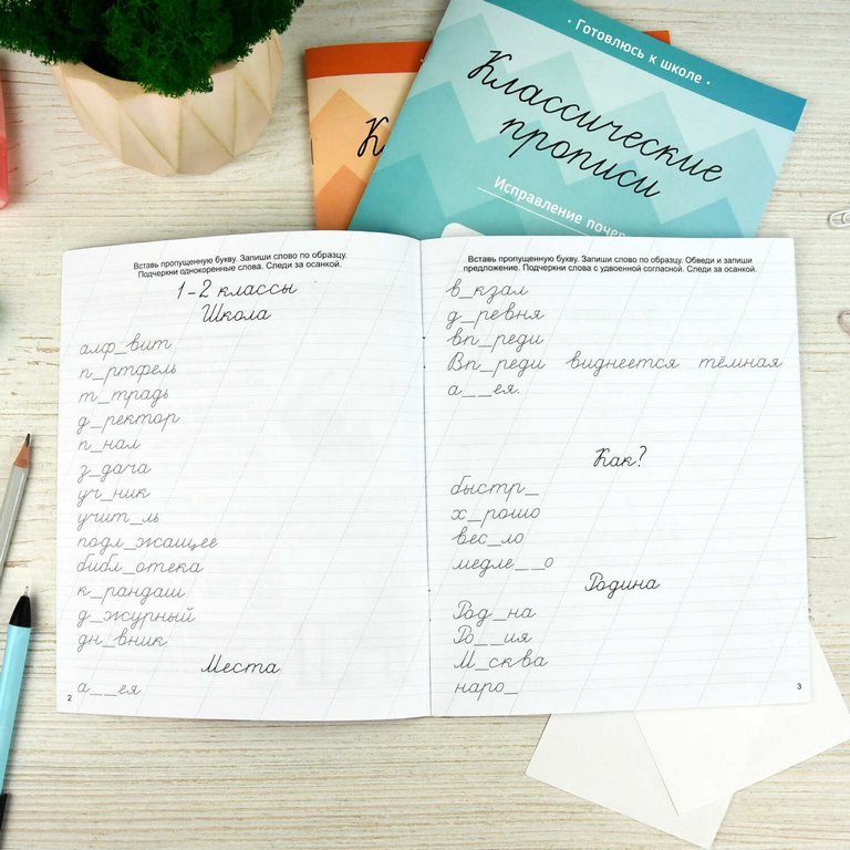Пропись классическая "Словарные слова" А5, 16 стр. Феникс+