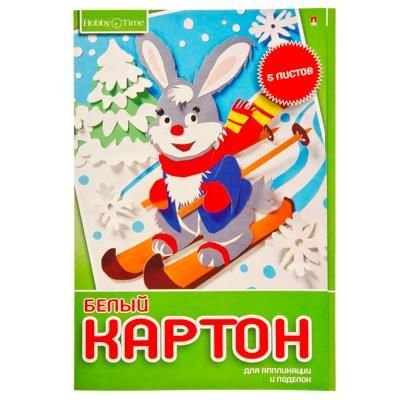 Набор белого картона А4 5л "Хобби тайм" , 180 гр./м2, 2 вида