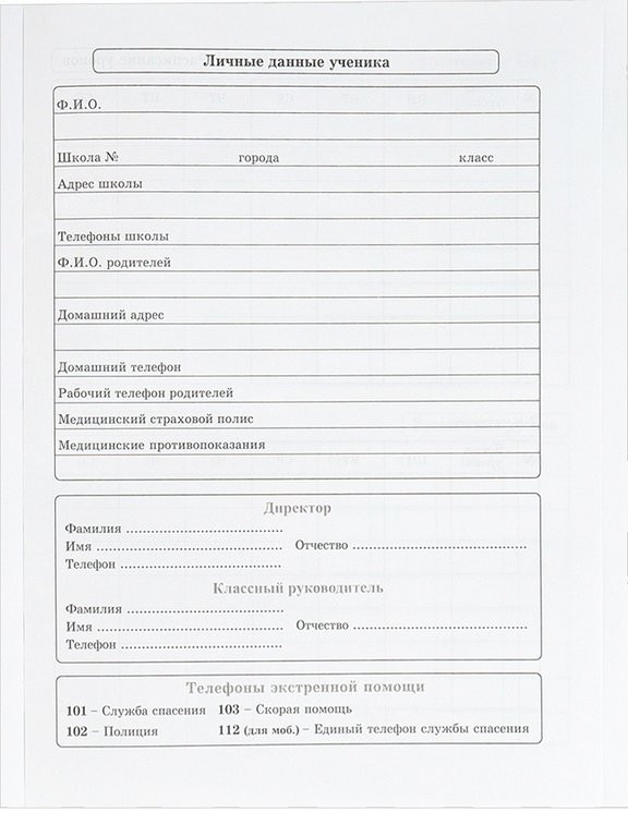 Дневник школьный мягкая обложка, на скобе "Синие кубы" 40л.