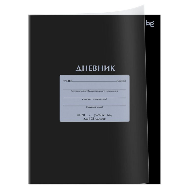 Дневник школьный пластиковая обложка, на скобе "Черный" 40л. BG