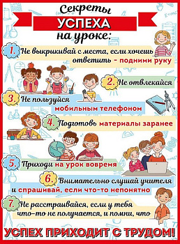 Плакат информационный "Секреты успеха на уроке" А2