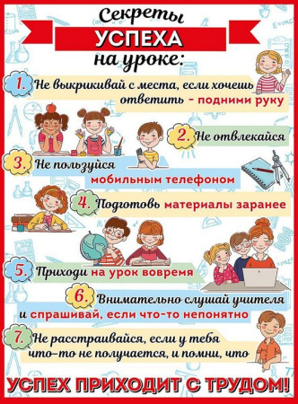 Плакат информационный "Секреты успеха на уроке" А2