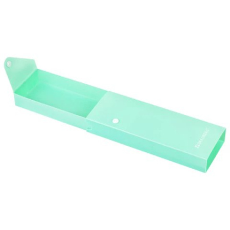 Пенал   BRAUBERG "Pastel" (пластик) 20х7см на кнопке (ассорти)