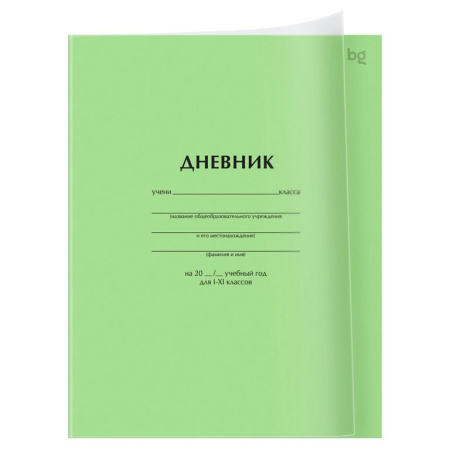 Дневник школьный пластиковая обложка, на скобе "Зеленый" 40л. BG