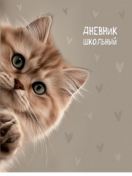Дневник школьный мягкая обложка, на скобе "Забавный котик" 40л.