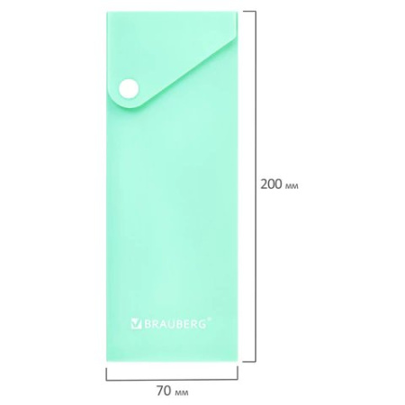 Пенал   BRAUBERG "Pastel" (пластик) 20х7см на кнопке (ассорти)