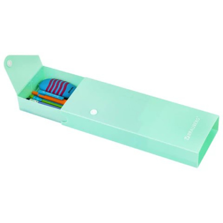 Пенал   BRAUBERG "Pastel" (пластик) 20х7см на кнопке (ассорти)