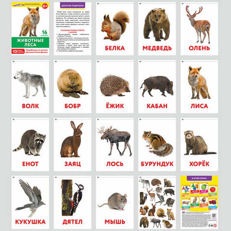 Дидактические карточки по методике Гленна Домана 145 шт. (8 тематик) Юнландия