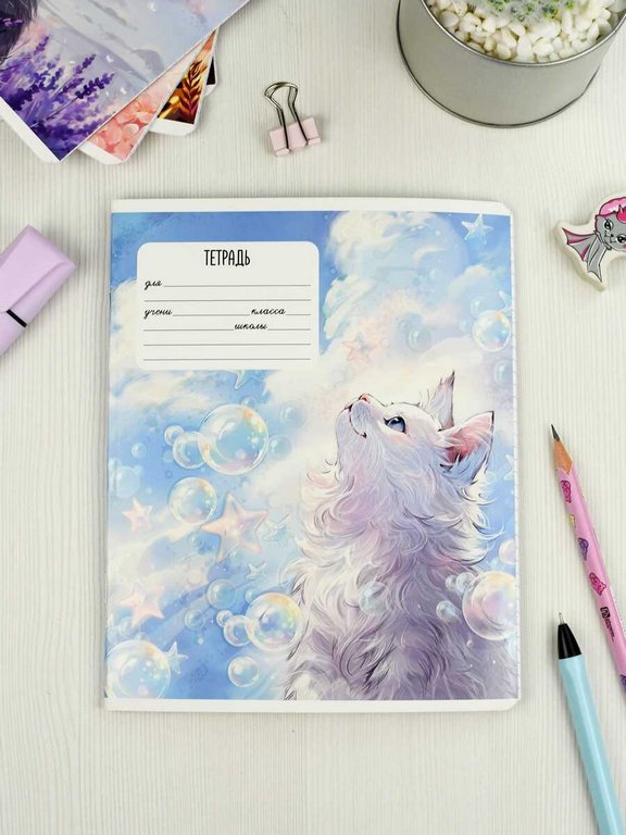 Тетрадь 24 лист кл. А5+ "Мечты кота" ассорти