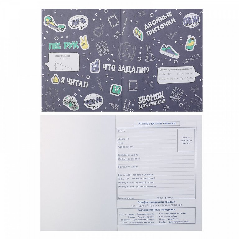 Дневник для ст/кл. твердая обложка, тисн. фольгой, глян. ламин.  "ХИП-ХОП ЛЕВ"