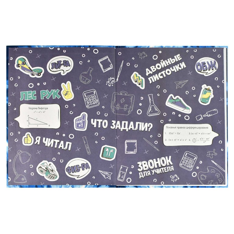 Дневник для ст/кл. твердая обложка, глян. ламин. "НАСТРОЙ" 48л.