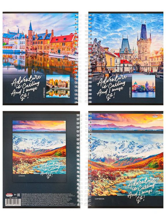 Тетрадь 96 лист кл. А5+ на гребне "ЕВРОПЕЙСКИЕ ВИДЫ"