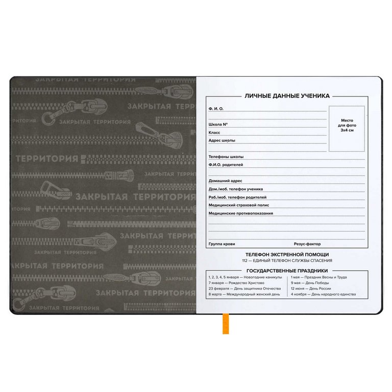 Дневник школьный твердая обложка с поролоном, кожзам, "ЗАКРЫТАЯ ТЕРРИТОРИЯ" 48л.