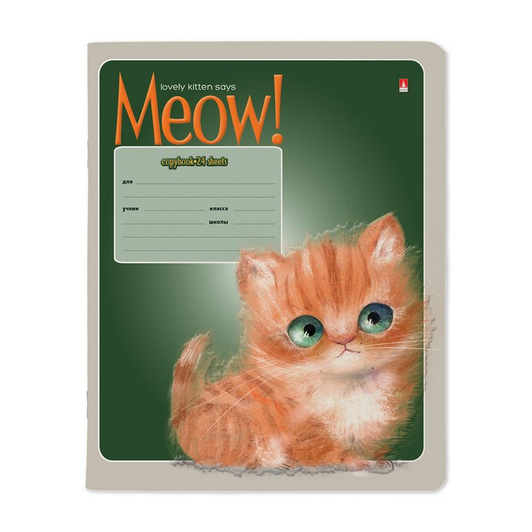 Тетрадь 24 лист кл. А5 "KITTY LIFE" 5 ВИДОВ