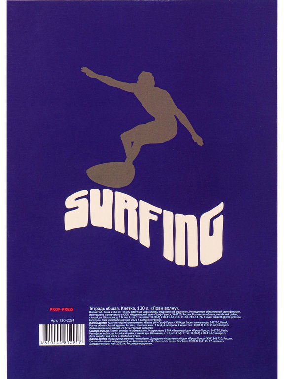 Тетрадь 120 лист кл. А4 на кольцах "ЛОВИ ВОЛНУ" тв. обл. Проф-Пресс