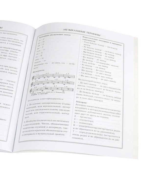 Дневник д/муз. школы на скрепке "ДИДЖЕЙ ПРИМАТ" 48л.