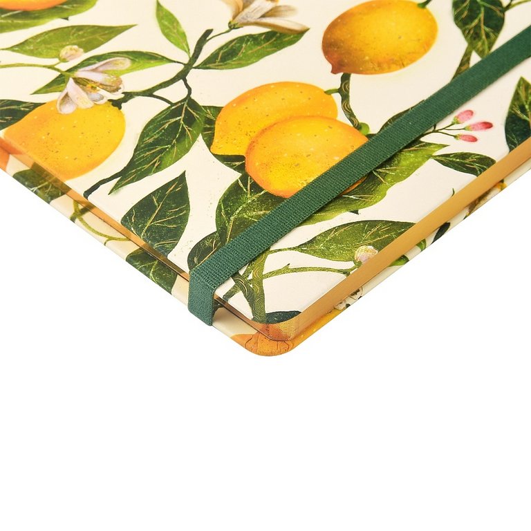 Еженедельник без дат 142*215 мм Bruno Visconti "Flora. Райские лимоны" тв. обл. на резинке
