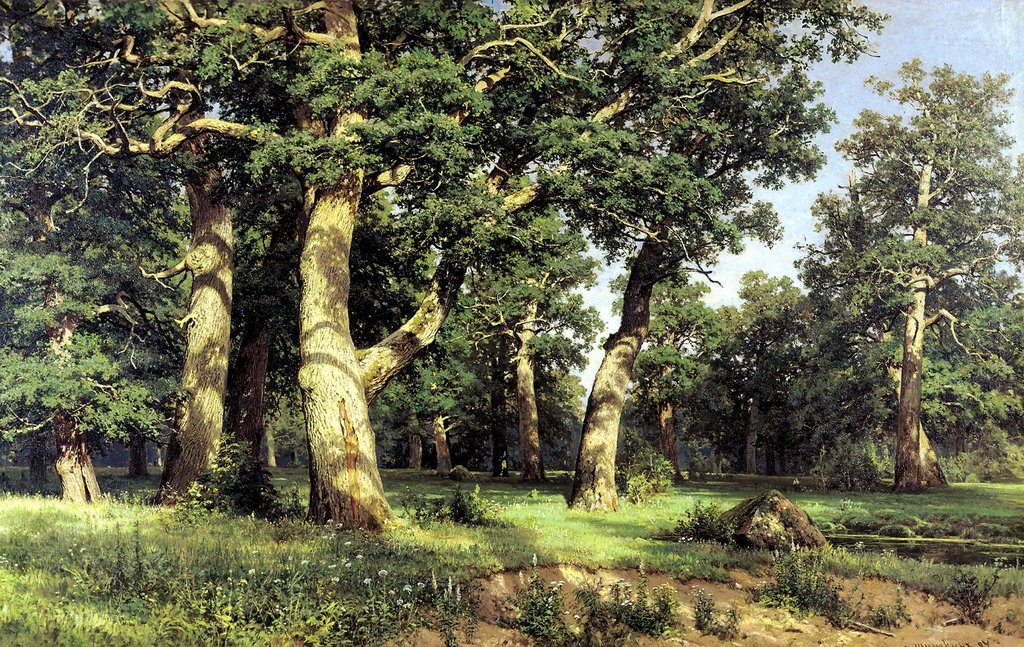 Постер на бумаге 70*100см, И.И. Шишкин "Дубовая роща" 1887г