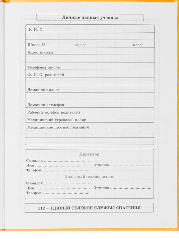 Дневник школьный Prof-Press твердая обложка, глянц. ламин. "ЧЁРНЫЙ КОТ НА ОРАНЖЕВОМ" 40л.