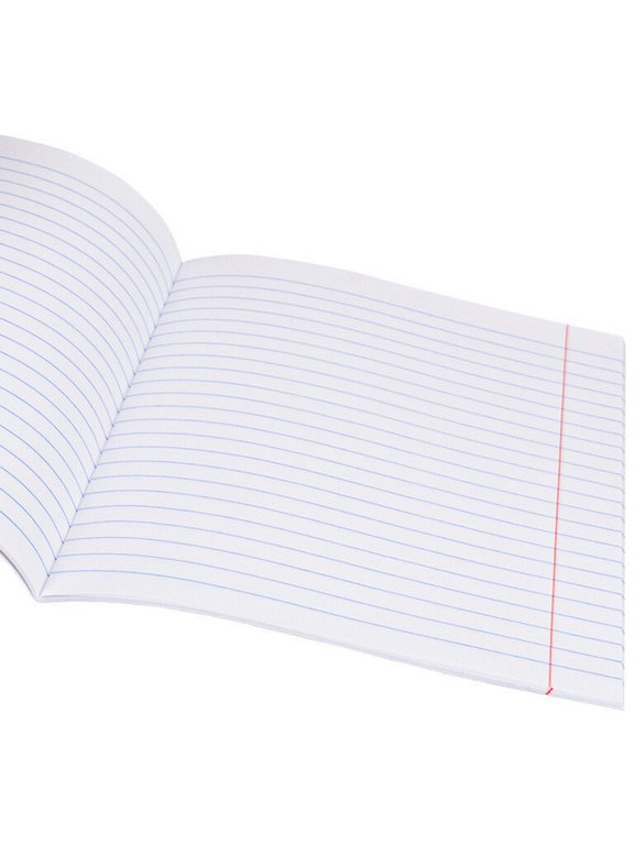 Тетрадь 18 лист лин. А5 Prof-Press "ЖИВОЙ ФАСТФУД" 5 видов, мелов. обл.