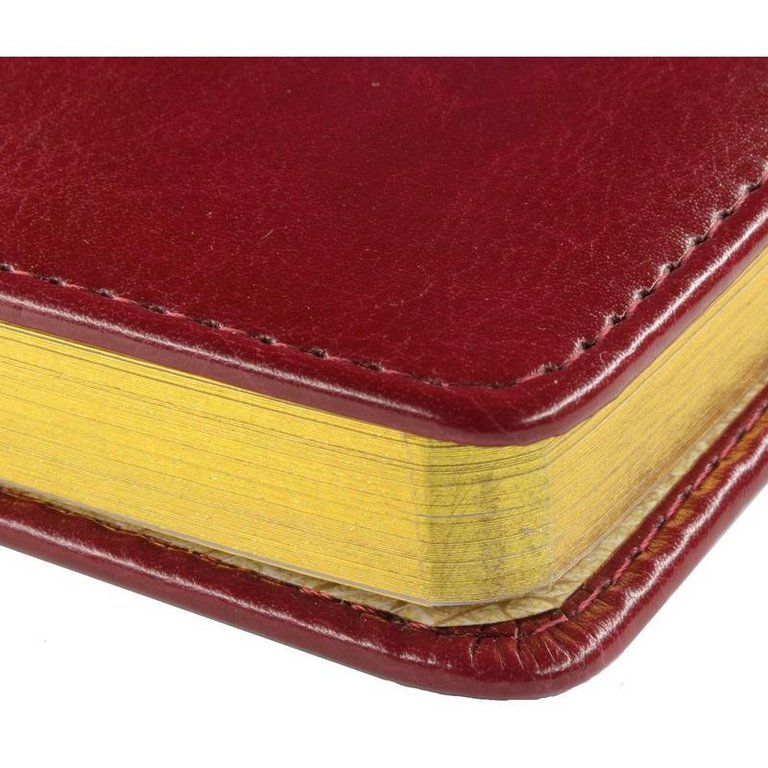 Ежедневник без дат А4, 210*297 мм Альт "SIDNEY NEBRASKA" бордовый, золотой срез