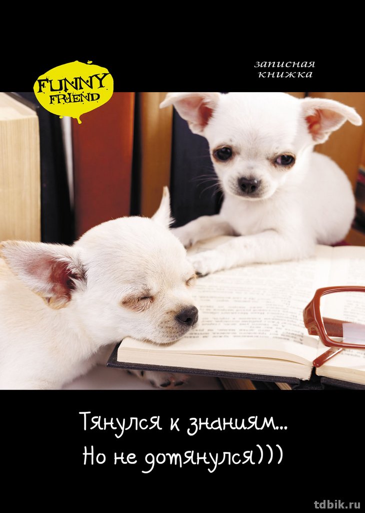 Записная книжка 148*210 мм. 128л., тв. обл., глянц. ламин. Prof-Press "ЩЕНКИ НА КНИГЕ"