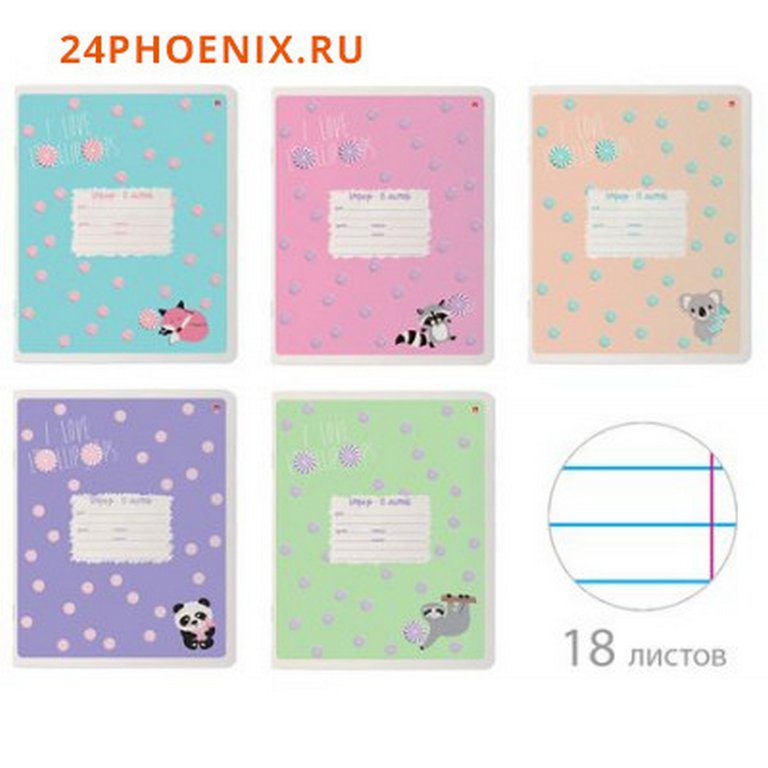 Тетрадь 18 лист лин. А5 "LOLLIPOP" 5 ВИДОВ