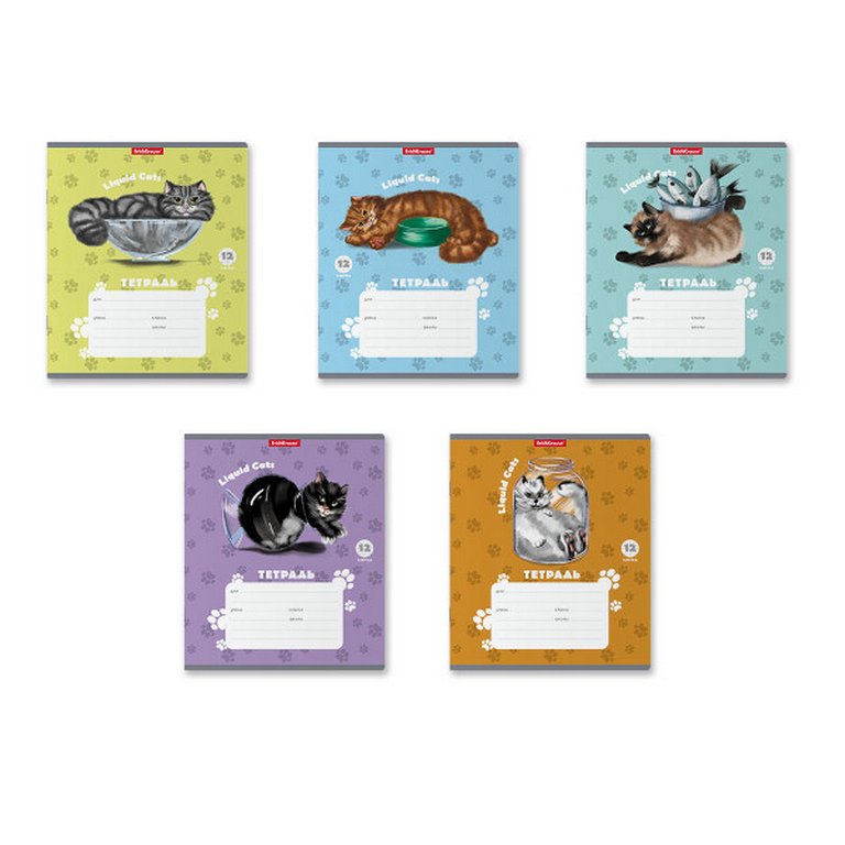 Тетрадь 12 лист кл. А5 "Жидкие коты"
