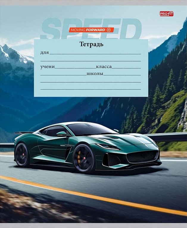 Тетрадь 12 лист лин. косая А5 "АВТО И ПЕЙЗАЖ" Profit