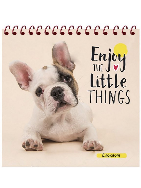 Блокнот А6  40л., 105*148 мм, на спирали "ВЕРНЫЕ ДРУЗЬЯ"