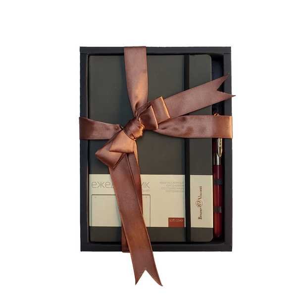 Набор подарочный BrunoVisconti "ZENITH" (СЕРЫЙ ЕЖЕДНЕВНИК А5 + РУЧКА)