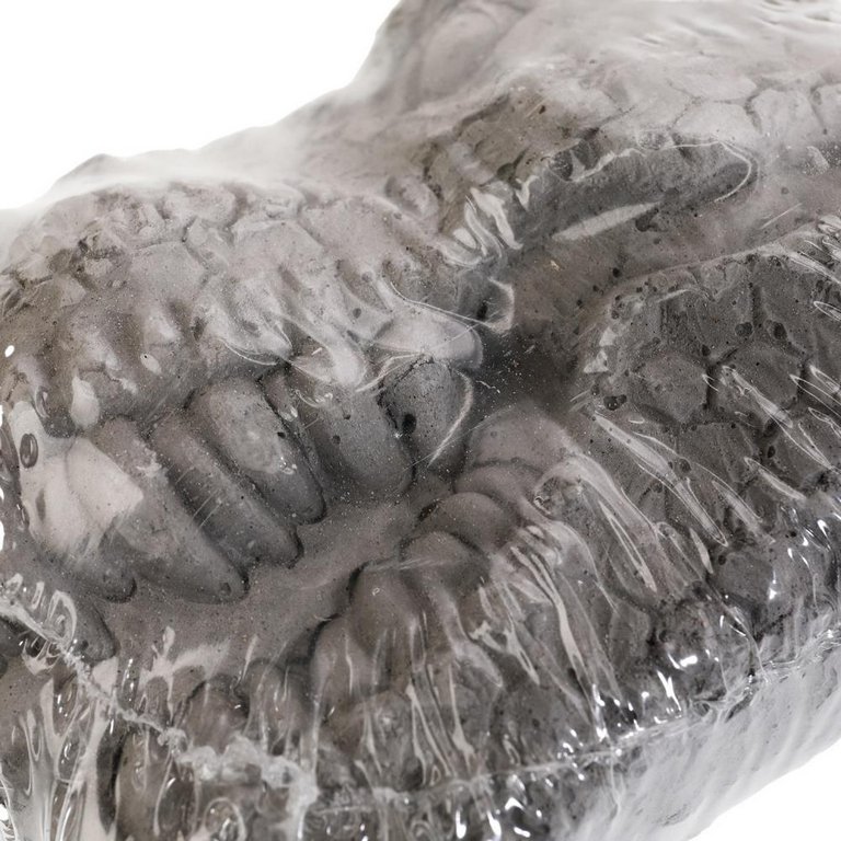 Раскопки "Череп динозавра Трицератопс" IQ Эксперимент