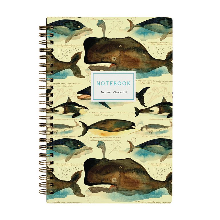 Набор подарочный BrunoVisconti "КИТЫ" (ТЕТРАДЬ НА ГРЕБНЕ В ТОЧКУ + РУЧКА)