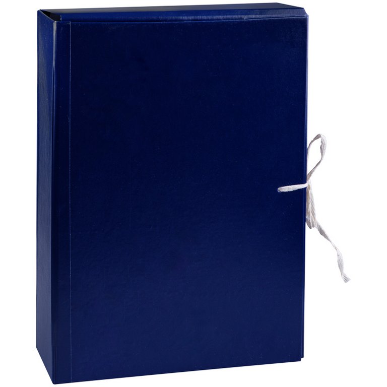 Папка архивная А4 75 мм с 4 завязками бумвинил А4 (жесткий корешок)