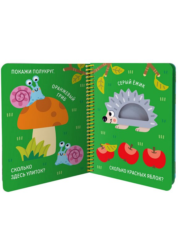 Книга детская на спирали Волшебные превращения "Ква-ква. Лягушонок и его друзья" 16 стр. Malamalama