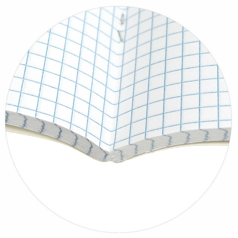 Тетрадь 96 лист кл. А5+ на скрепке "НЕЖНЫЕ ЦВЕТА" 5 ВИДОВ