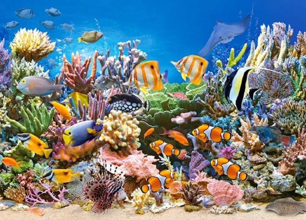 Пазлы MIDI 260 дет. "Цвета океана" Castor Land 8+