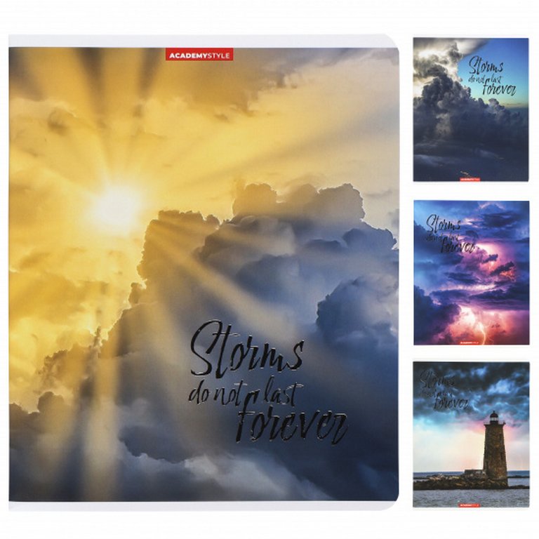 Тетрадь 96 лист кл. А5 на скрепке "Гроза пройдет"