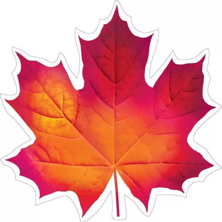 Наклейка оформительская на скотче осенняя 150*150мм "Кленовый лист" красный