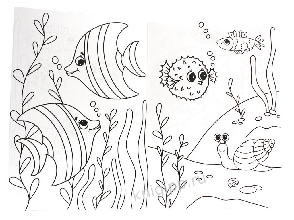 Раскраска А4 "Кто живет в океане" ПРОФ-пресс Раскраска А4 "Кто живет в океане" ПРОФ-пресс