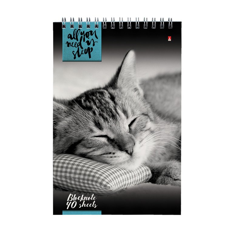 Блокнот А5  40л., 127*202 мм, на гребне Альт "КОШКИ" 5 видов