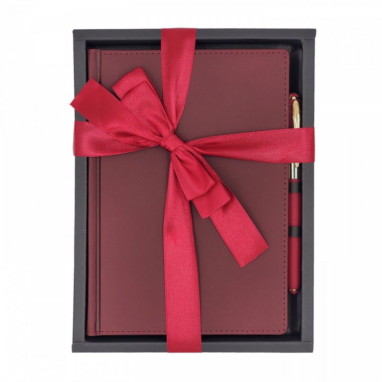 Набор подарочный BrunoVisconti "VELVET" (БОРДОВЫЙ ЕЖЕДНЕВНИК ДАТ. А5 + РУЧКА)