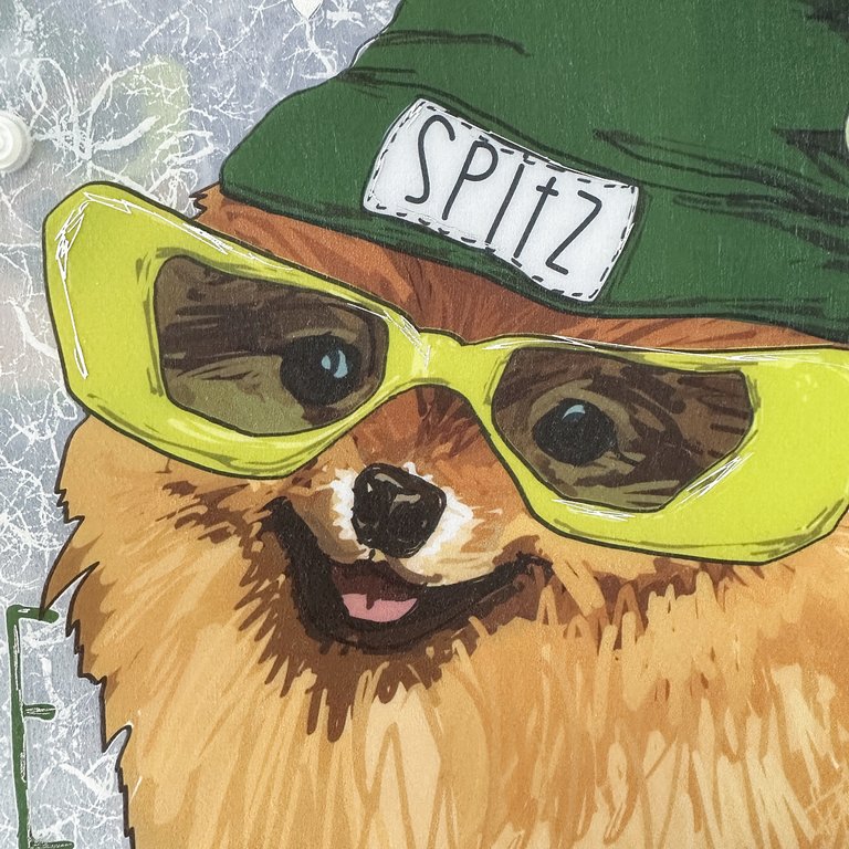 Папка для тетрадей А4 на кнопке BrunoVisconti "Псы на стиле. Шпиц" с текстильной окантовкой