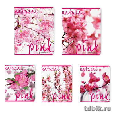 Тетрадь 48 лист кл. А5 на скрепке "ЦВЕТУЩИЙ САД" 5 ВИДОВ